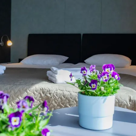 Hiiumaa Puhkemaja Hotel