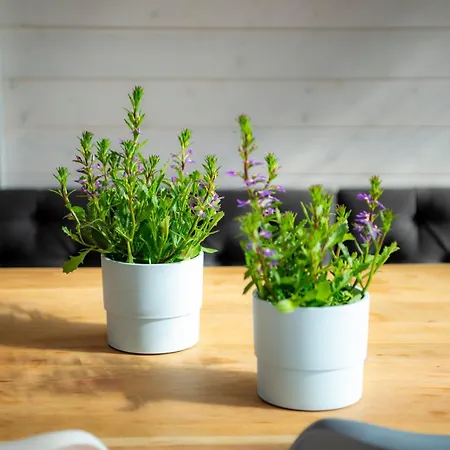 Hotel Hiiumaa Puhkemaja Soru