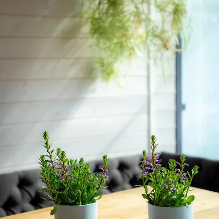 Hiiumaa Puhkemaja Soru