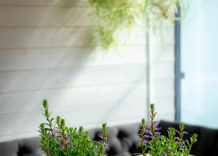 Hiiumaa Puhkemaja Soru